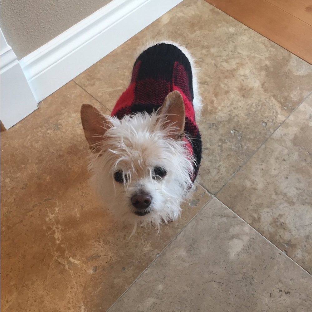 Meet your Posher, Kathy